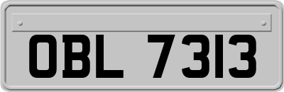 OBL7313