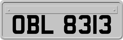 OBL8313