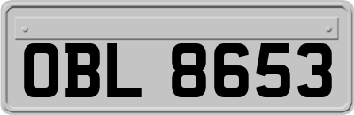 OBL8653