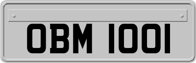 OBM1001