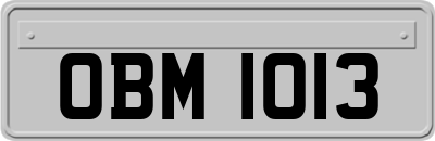 OBM1013
