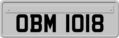 OBM1018