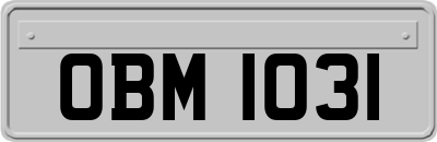 OBM1031