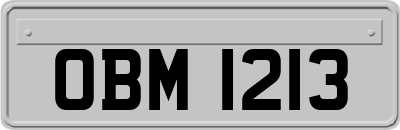 OBM1213