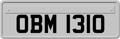 OBM1310