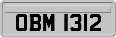 OBM1312