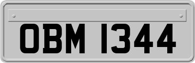 OBM1344