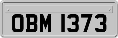 OBM1373