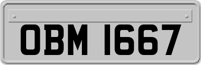 OBM1667