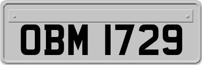 OBM1729