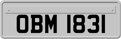 OBM1831