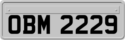 OBM2229