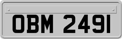 OBM2491