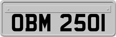 OBM2501