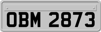 OBM2873