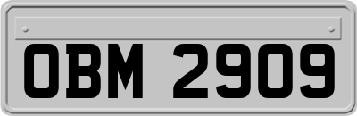 OBM2909