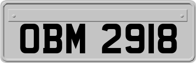 OBM2918