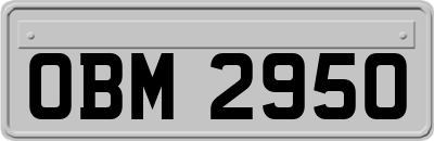 OBM2950