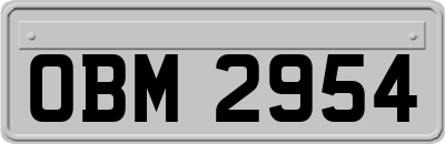 OBM2954