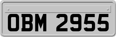 OBM2955