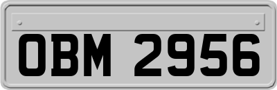 OBM2956
