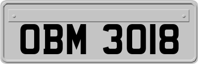OBM3018