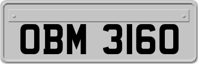OBM3160