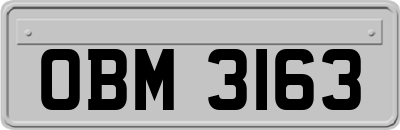 OBM3163