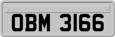 OBM3166