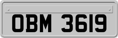 OBM3619