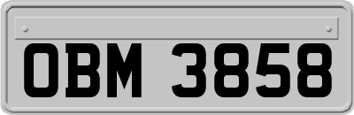 OBM3858