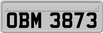 OBM3873