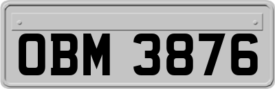 OBM3876