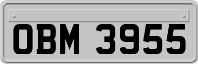 OBM3955
