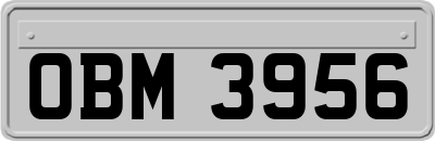 OBM3956