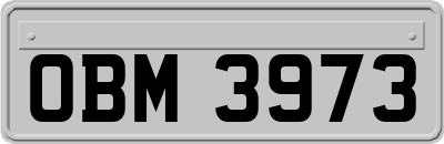 OBM3973