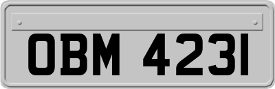 OBM4231