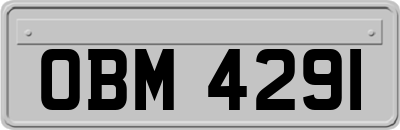 OBM4291