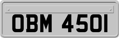 OBM4501