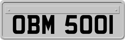 OBM5001