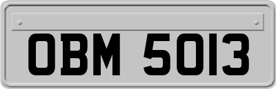 OBM5013