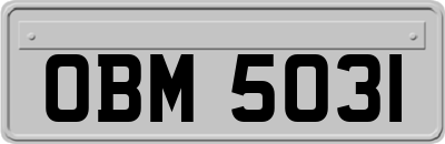 OBM5031