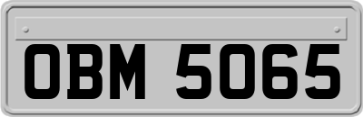 OBM5065