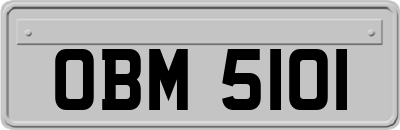 OBM5101