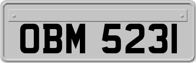 OBM5231