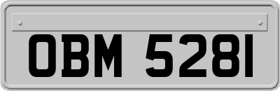 OBM5281