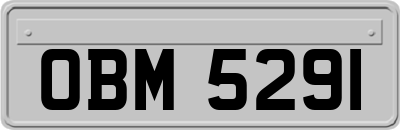 OBM5291