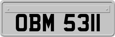 OBM5311