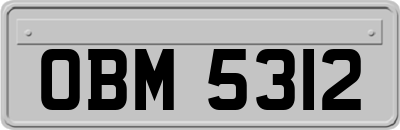 OBM5312