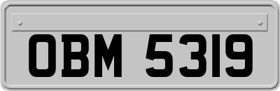 OBM5319